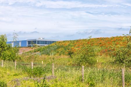 55 Greenport Venlo bedrijventerrein bedrijfskavel natuur duurzaamheid bedrijventerrein flora fauna A73  klein.jpg