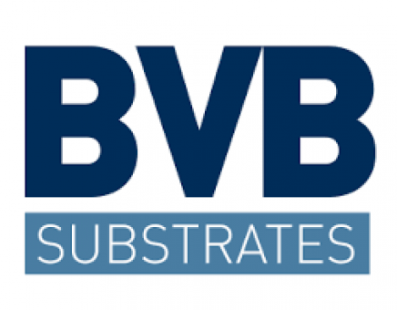 Logo BVB.png